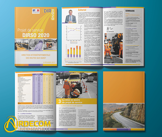 DIRSO - Rapport de projet de service